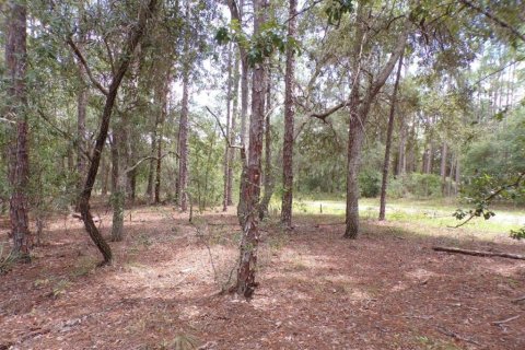 Land in Dunnellon, Florida № 2159586