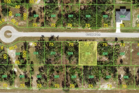 Land in Placida, Florida № 2163163 - photo 2