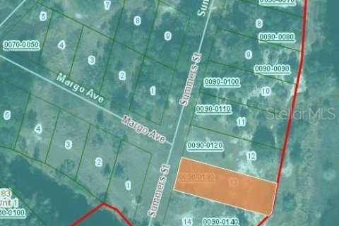 Land in Interlachen, Florida № 2160241 - photo 3