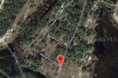 Land in Interlachen, Florida № 2160241 - photo 2