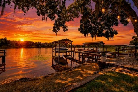 House in Lutz, Florida 3 bedrooms, 262.91 sq.m. № 2324206 - photo 4