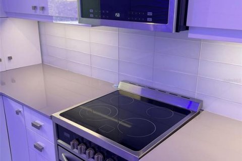 Condominio en alquiler en Saint Petersburg, Florida, 1 dormitorio, 45.99 m2 № 1023039 - foto 10