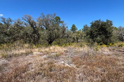 Terreno en venta en Indian lake estates, Florida № 2235148 - foto 6