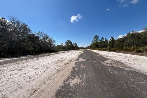 Terreno en venta en Indian lake estates, Florida № 2235148 - foto 5