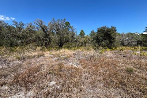 Terreno en venta en Indian lake estates, Florida № 2235148 - foto 4