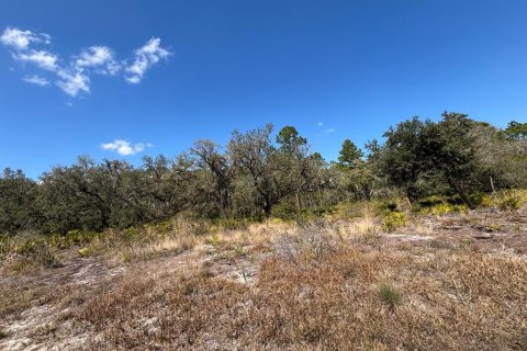 Terreno en venta en Indian lake estates, Florida № 2235148 - foto 2