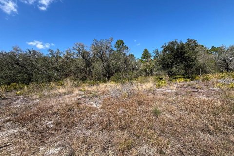 Terreno en Indian lake estates, Florida № 2235148