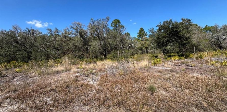 Terreno en Indian lake estates, Florida № 2235148
