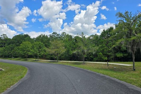 Terreno en venta en Gainesville, Florida № 1255364 - foto 4