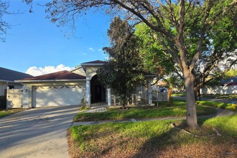 House in Valrico, Florida 3 bedrooms, 224.82 sq.m. № 2102216