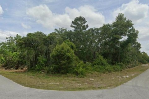Land in Lake Placid, Florida № 2212553
