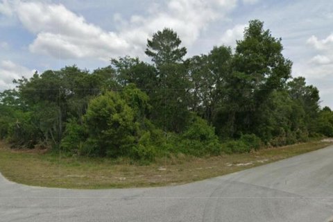 Land in Lake Placid, Florida № 2212553 - photo 2