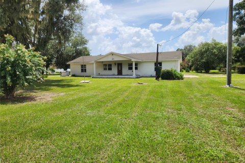 House in Fish Hawk, Florida 4 bedrooms, 209.03 sq.m. № 2266564