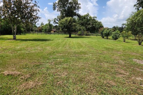 Villa ou maison à vendre à Fish Hawk, Floride: 4 chambres, 209.03 m2 № 2266564 - photo 3