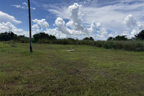 Terrain à Ruskin, Floride № 2354769