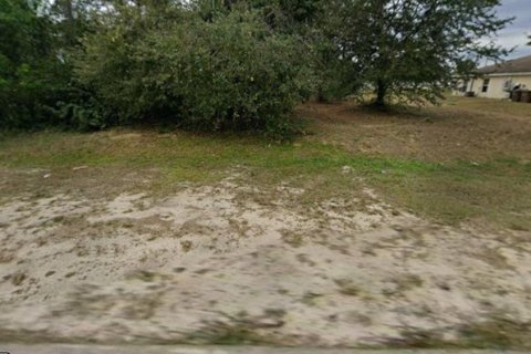Land in Lehigh Acres, Florida № 2213291 - photo 2