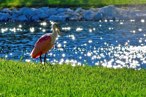 Condominio en venta en Bradenton, Florida, 2 dormitorios, 141.68 m2 № 2148777 - foto 12