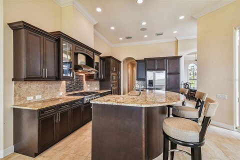 House in Thonotosassa, Florida 5 bedrooms, 544.31 sq.m. № 1202216 - photo 27