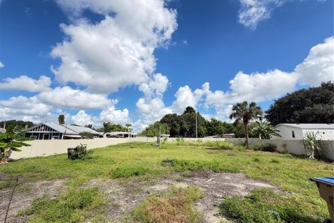 Land in Kissimmee, Florida № 2359383