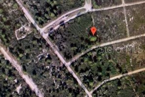 Land in Lake Placid, Florida № 2163877 - photo 3