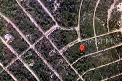 Land in Lake Placid, Florida № 2163877