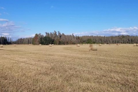 Terreno en venta en Lakeland, Florida № 1721576 - foto 5