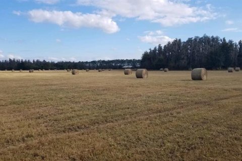Terreno en venta en Lakeland, Florida № 1721576 - foto 23