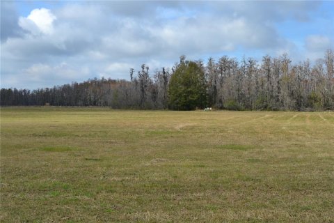 Terreno en venta en Lakeland, Florida № 1721576 - foto 16