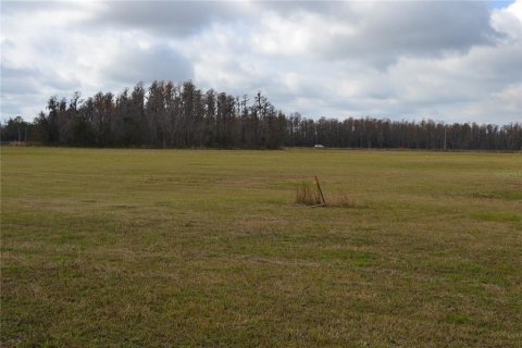 Terreno en venta en Lakeland, Florida № 1721576 - foto 15