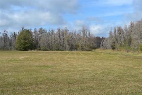 Terreno en venta en Lakeland, Florida № 1721576 - foto 17