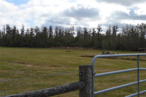 Terreno en venta en Lakeland, Florida № 1721576 - foto 20