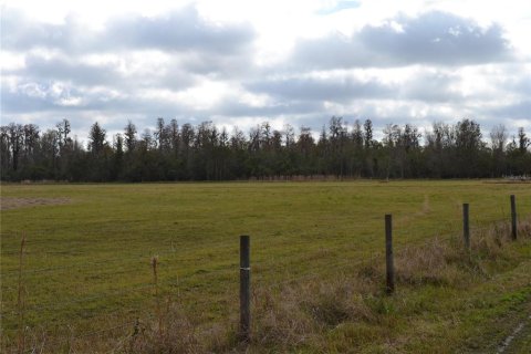 Terreno en venta en Lakeland, Florida № 1721576 - foto 11