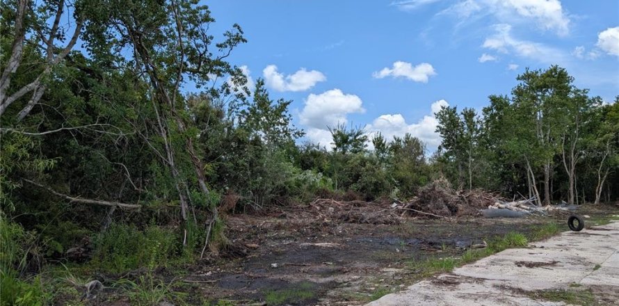 Terrain à Orlando, Floride № 2207452