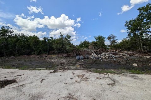 Terrain à vendre à Orlando, Floride № 2207452 - photo 4