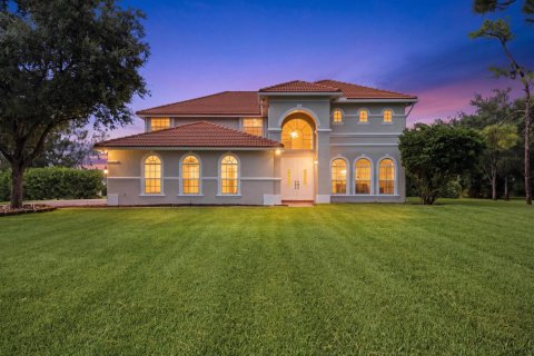 Villa ou maison à Palm City, Floride 5 chambres, 341.32 m2 № 2333789