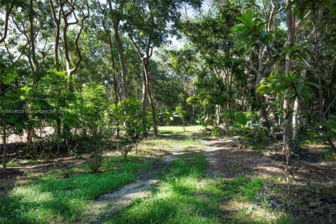 Terreno en venta en Miami, Florida № 1820340 - foto 19