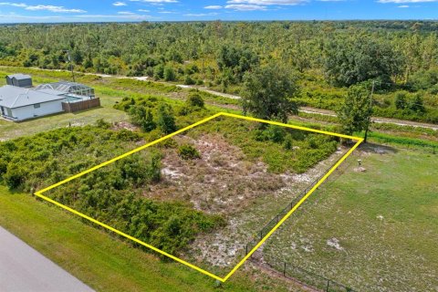 Land in Punta Gorda, Florida № 2161364 - photo 2