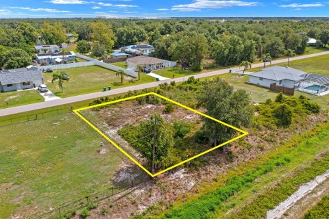 Land in Punta Gorda, Florida № 2161364 - photo 3