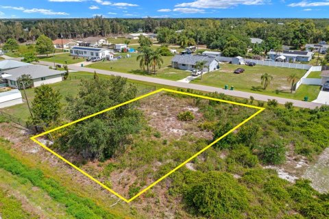 Land in Punta Gorda, Florida № 2161364 - photo 4