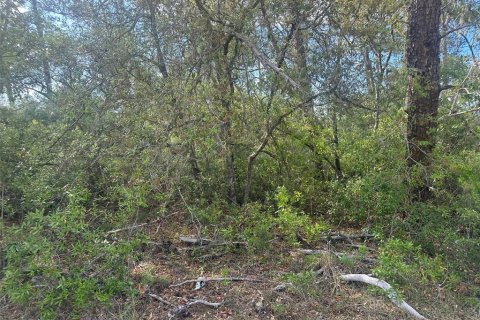Terreno en Ocala, Florida № 2095699