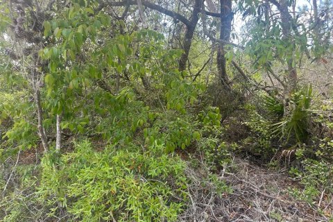 Terrain à vendre à Ocala, Floride № 2095699 - photo 6