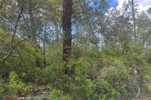 Terrain à vendre à Ocala, Floride № 2095699 - photo 3