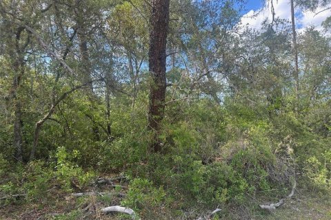 Terrain à vendre à Ocala, Floride № 2095699 - photo 2