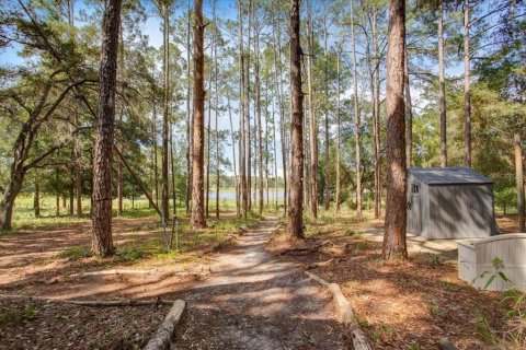 House in Melrose, Florida 2 bedrooms, 115.94 sq.m. № 2200698 - photo 26
