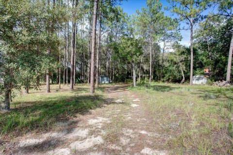 House in Melrose, Florida 2 bedrooms, 115.94 sq.m. № 2200698 - photo 28