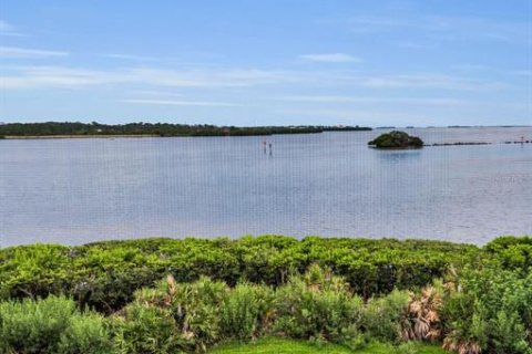 Condo in Tarpon Springs, Florida, 2 bedrooms  № 1821260 - photo 22