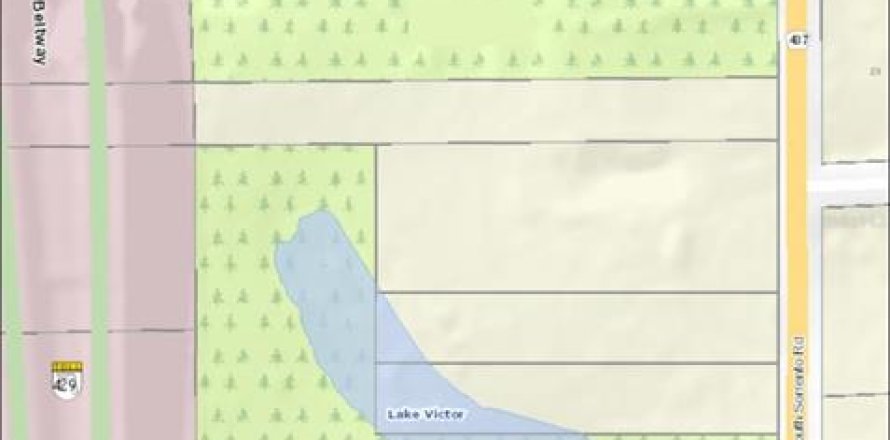 Land in Apopka, Florida № 235191