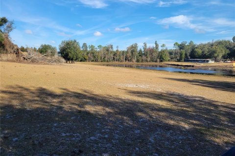 Land in Apopka, Florida № 235191 - photo 3