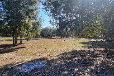 Land in Apopka, Florida № 235191 - photo 8