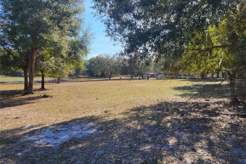 Land in Apopka, Florida № 235191 - photo 9